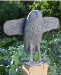 tawny owl