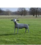 goat - bronze