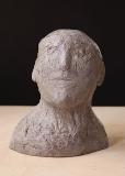 small seabird- bronze